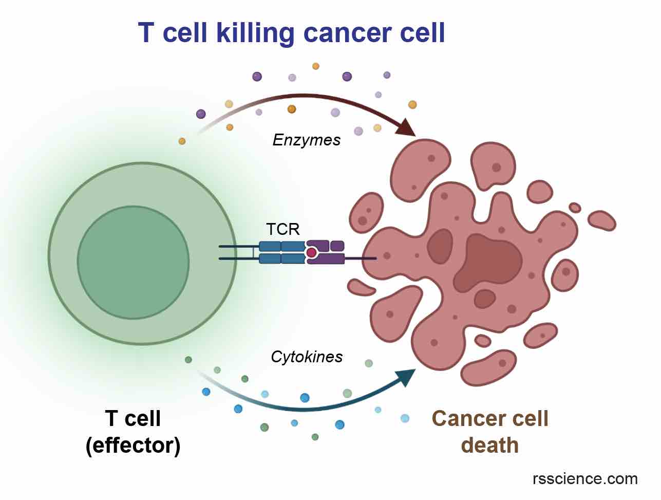 Gene Therapy: A Promising Biotechnology for the Treatment of Genetic ...