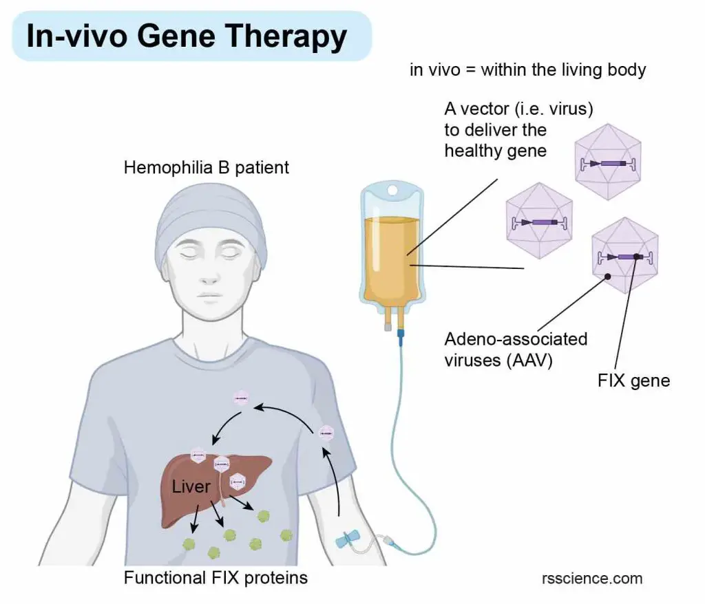 in-vivo-gene-therapy