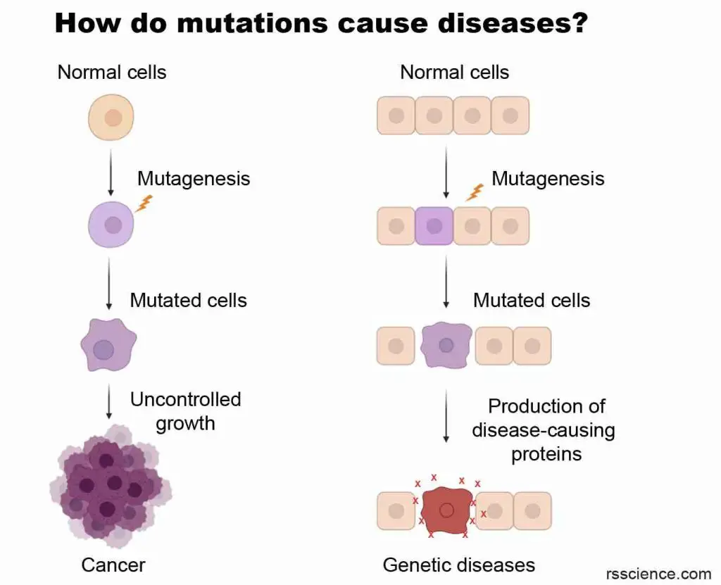 mutation-cause-cancer-genetic-disease