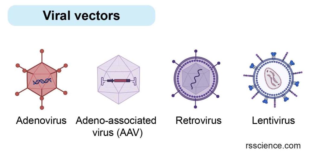 viral-vector-for-gene-therapy