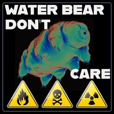 tardigrade do not care radiation hot cold pressure