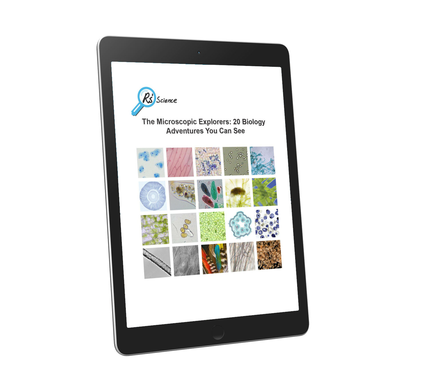 The Microscopic Explorers: 20 Biology Adventures You Can See, Ebook cover