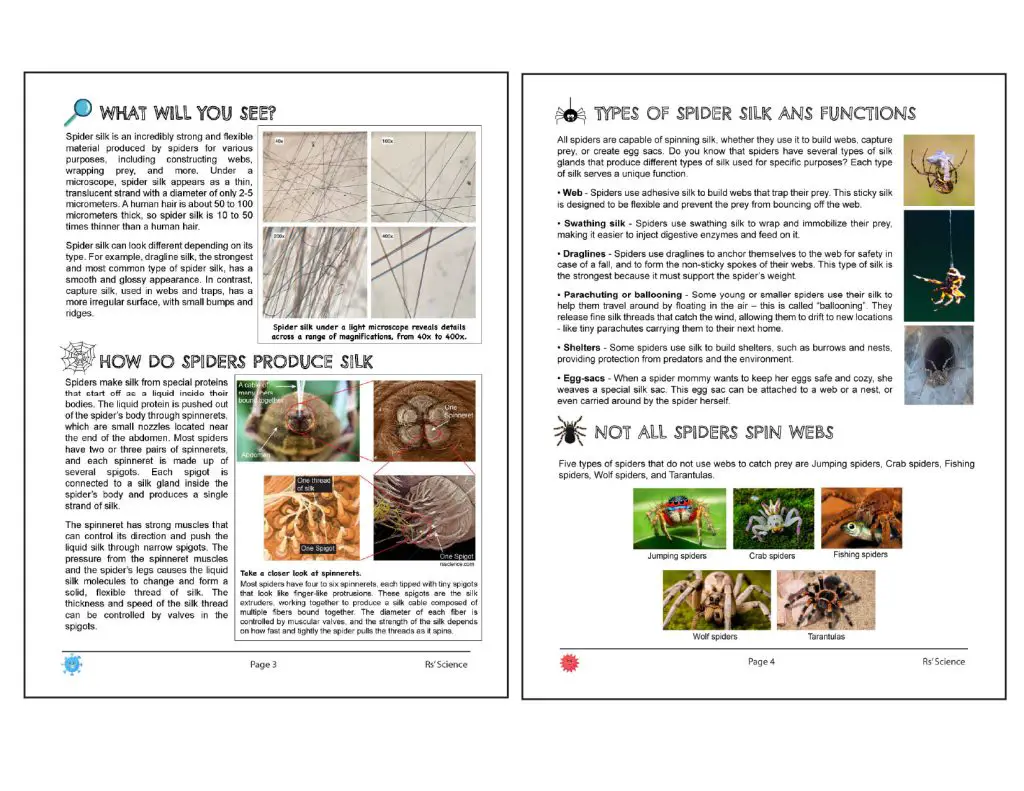 20 microscopic adventure-sample page2