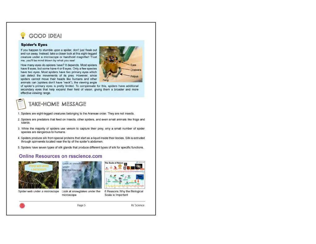 20 microscopic adventure-sample page3